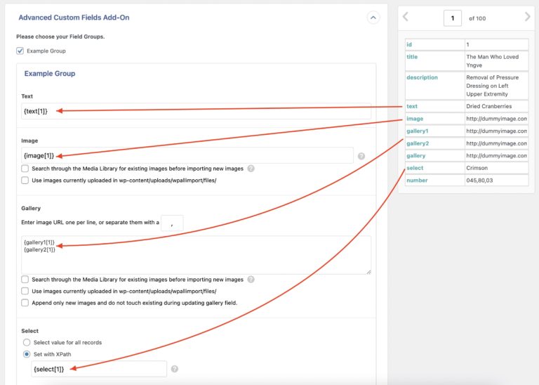 How to Import Advanced Custom Fields (ACF) - WP All Import