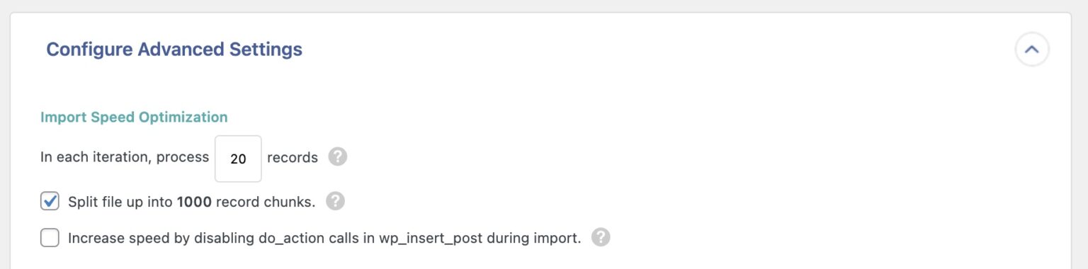 Advanced Import Processing Options - WP All Import