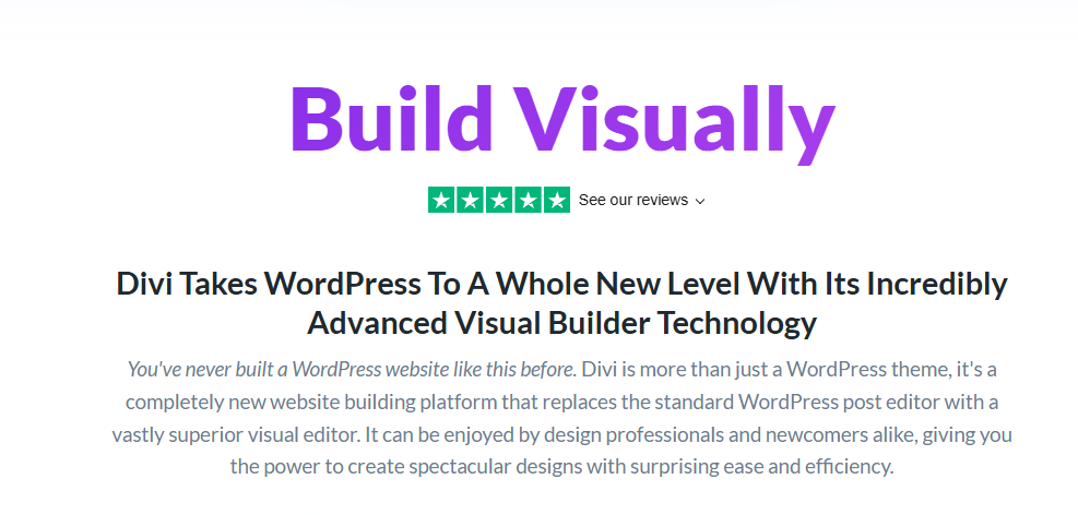 Divi build visually