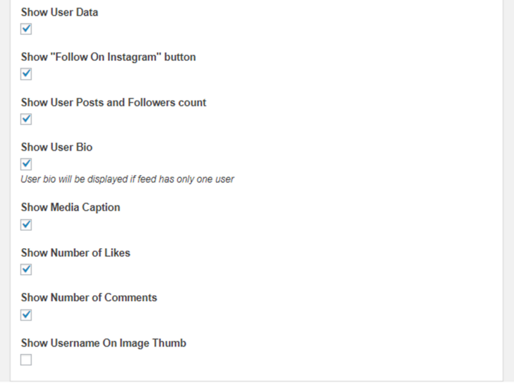 show metadata in 10web Instagram feed