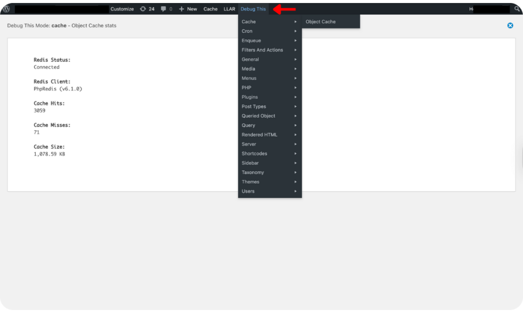 Debug This WordPress Debug Plugin Interface