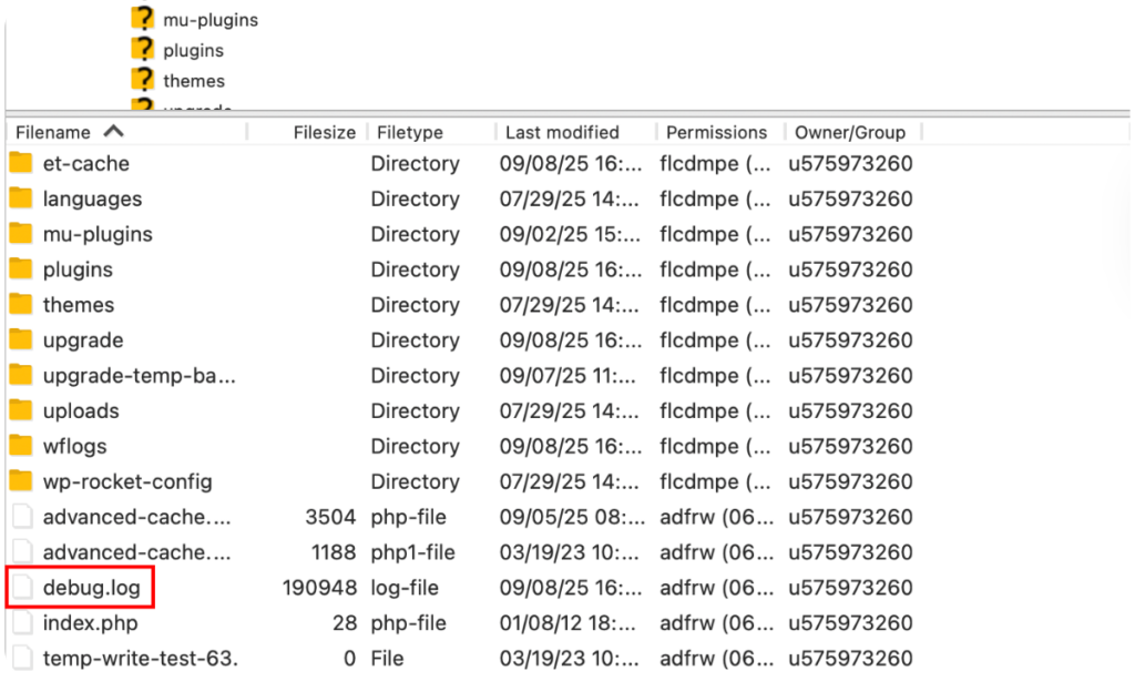 Debug.log File Within the WordPress Site Root Folder