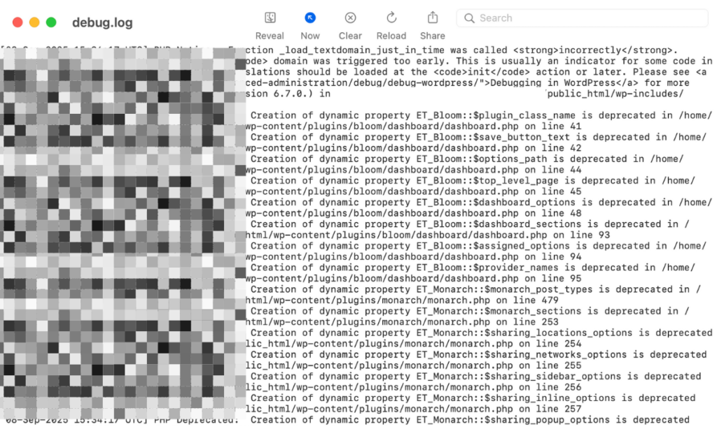 WordPress Error Logs in a TXT File
