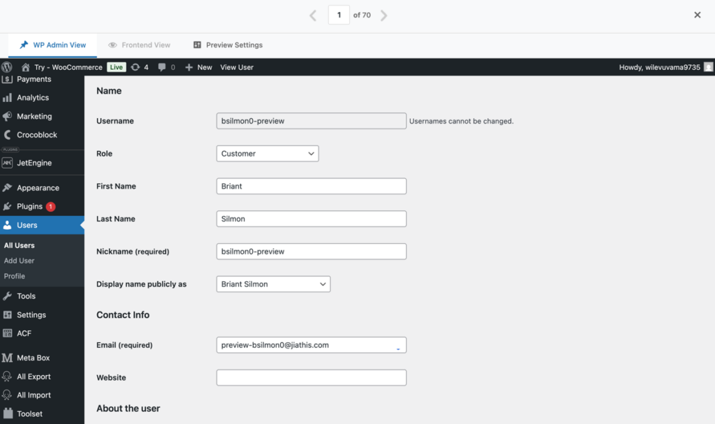 WP All Import preview