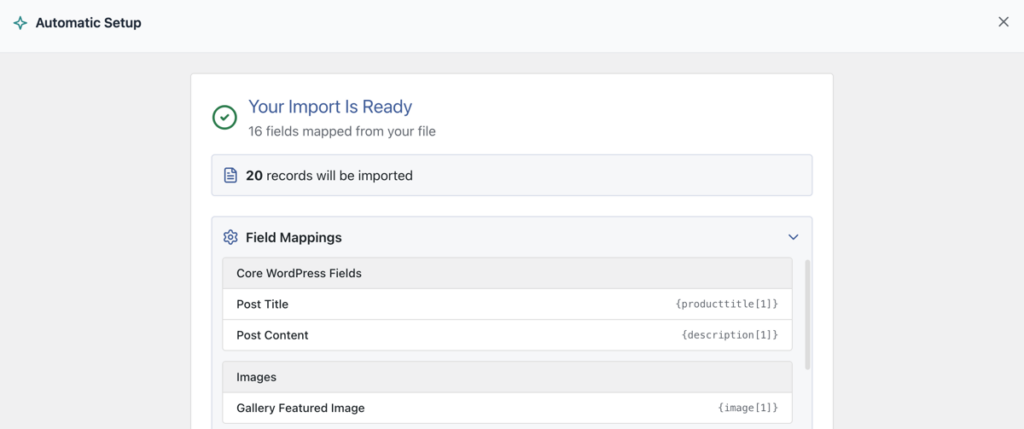 category fields mapped during WP All Import automatic setup WP All Import